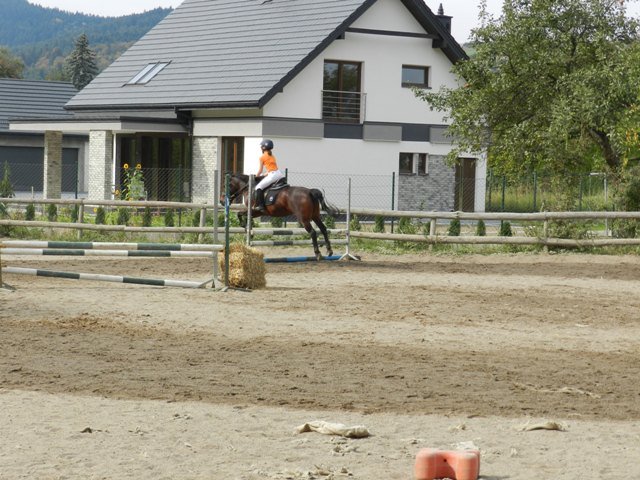 Babie Lato 2016